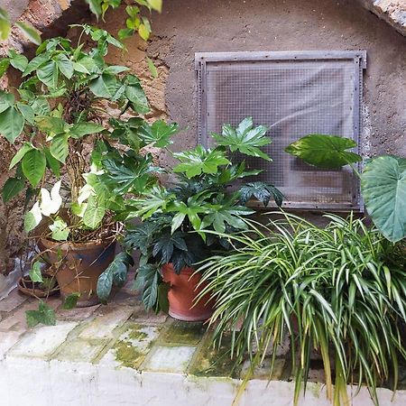Casa Lujan - Califa Casas Vejer Villa Vejer de la Frontera Ngoại thất bức ảnh