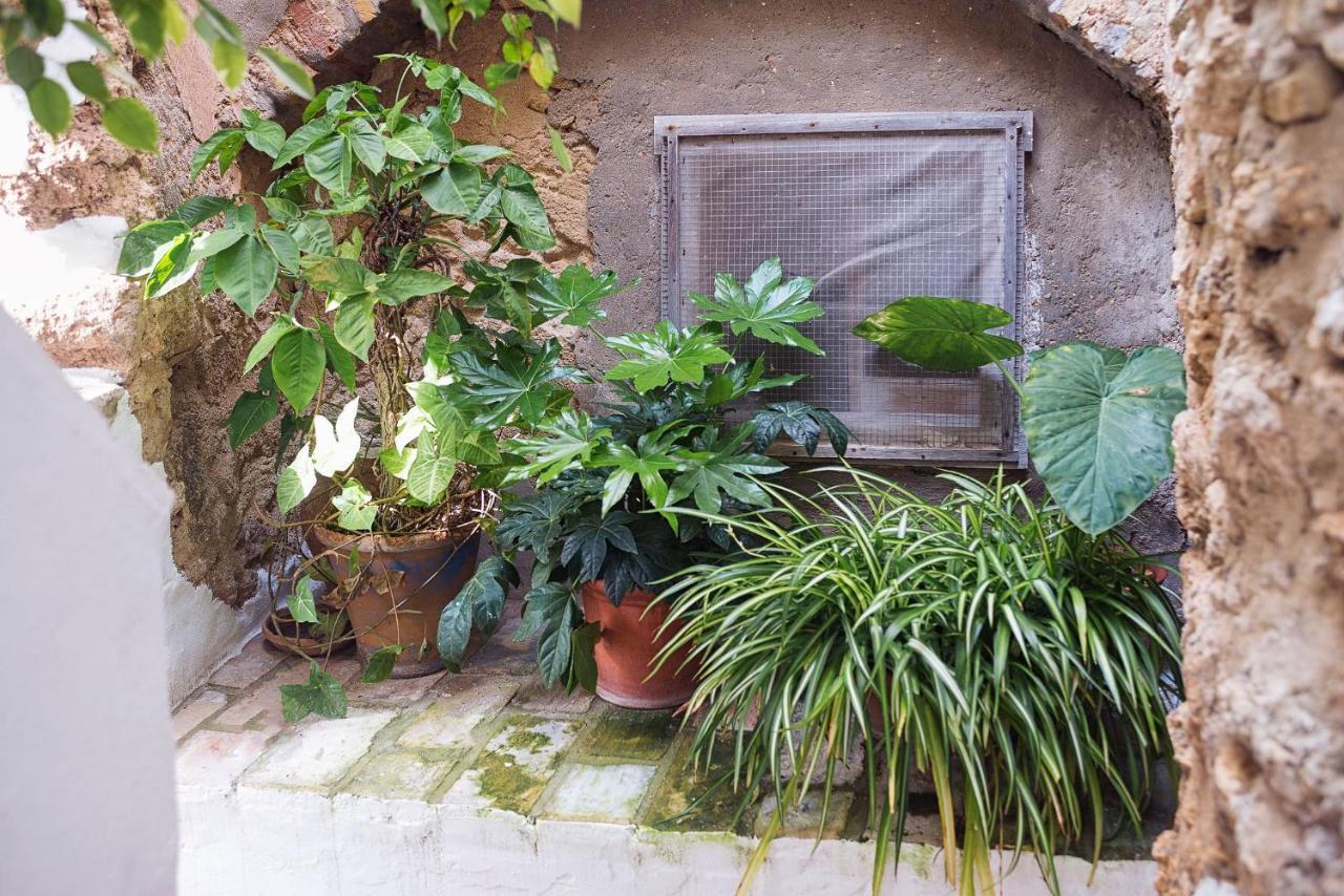 Casa Lujan - Califa Casas Vejer Villa Vejer de la Frontera Ngoại thất bức ảnh